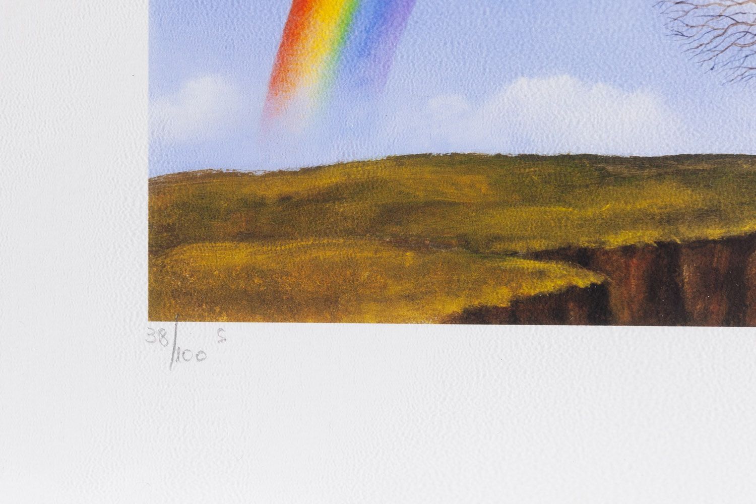 'Rainbow' 0