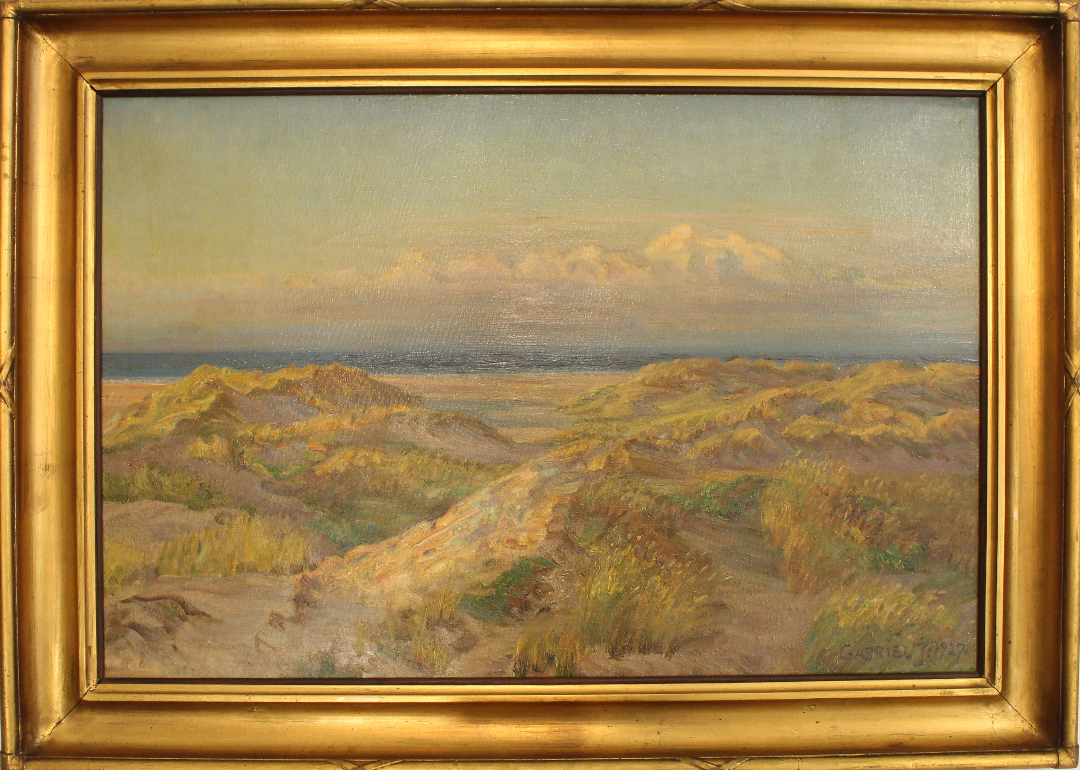 Coastal dunes in Skagen 2