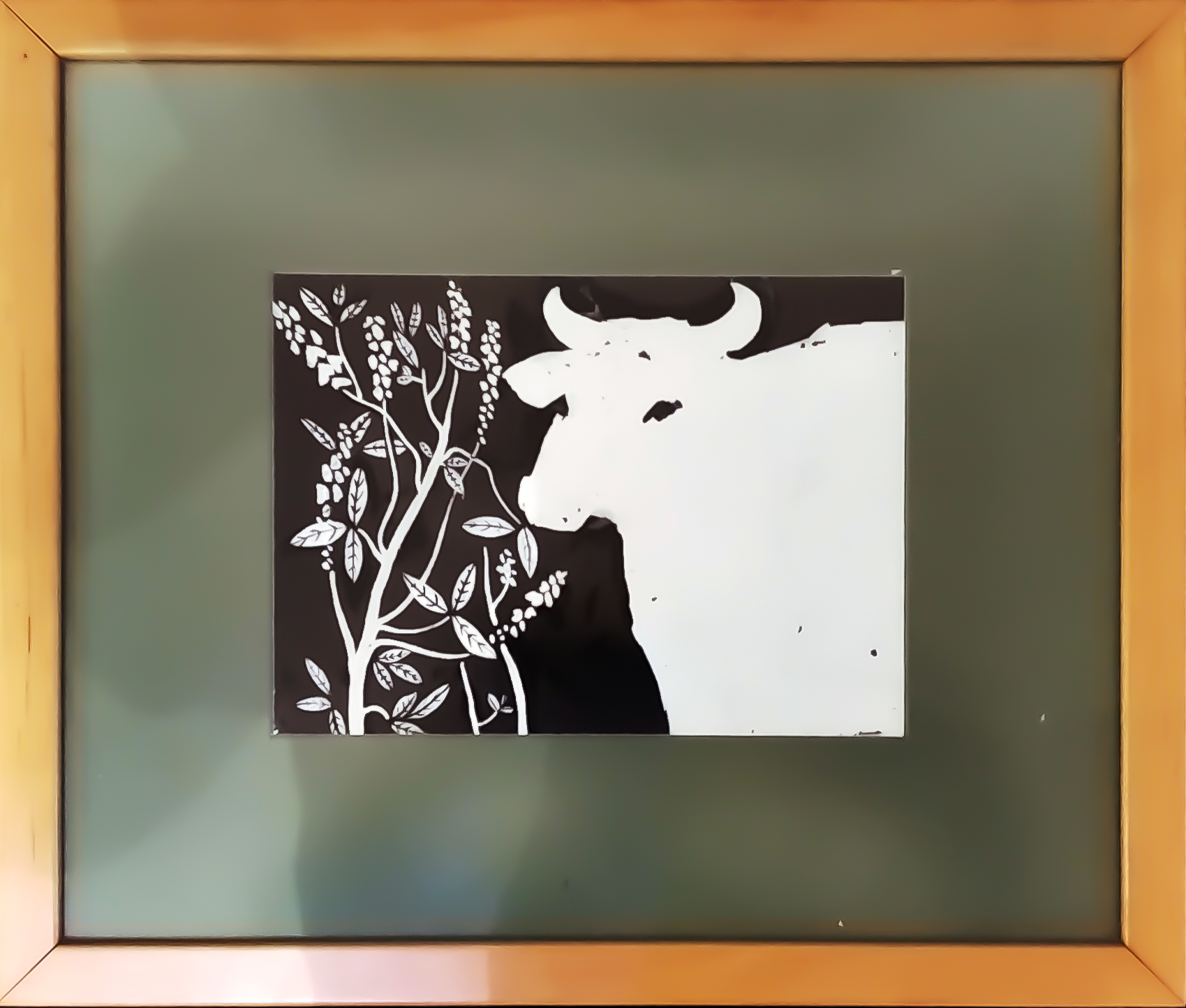 From the series "Cows" 0