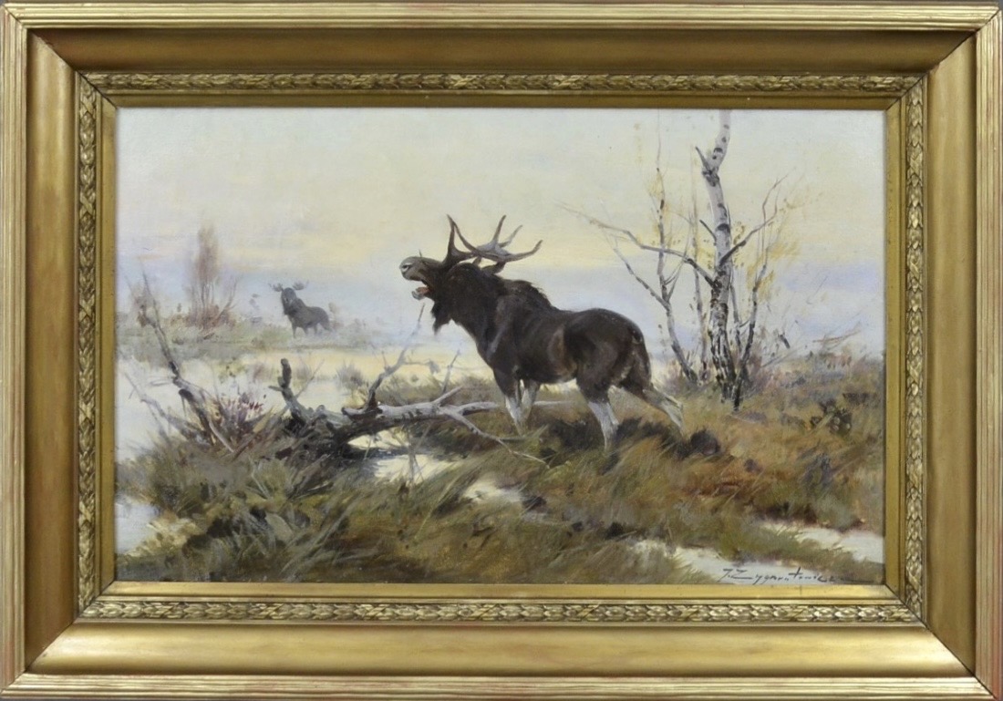 Elks in the wetlands 0