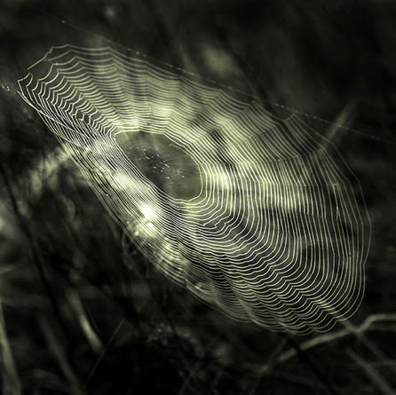 'The tenor of fall…' 2