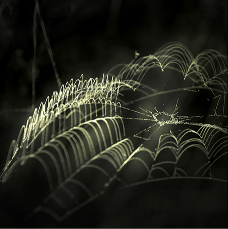 'The tenor of fall…' 0