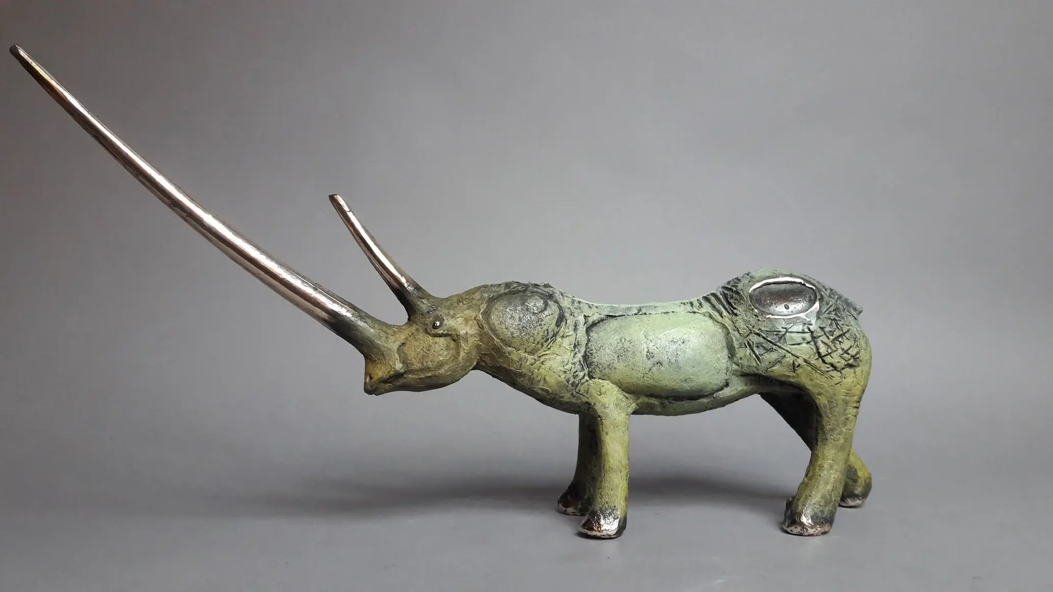 Rhinoceros with a long horn
