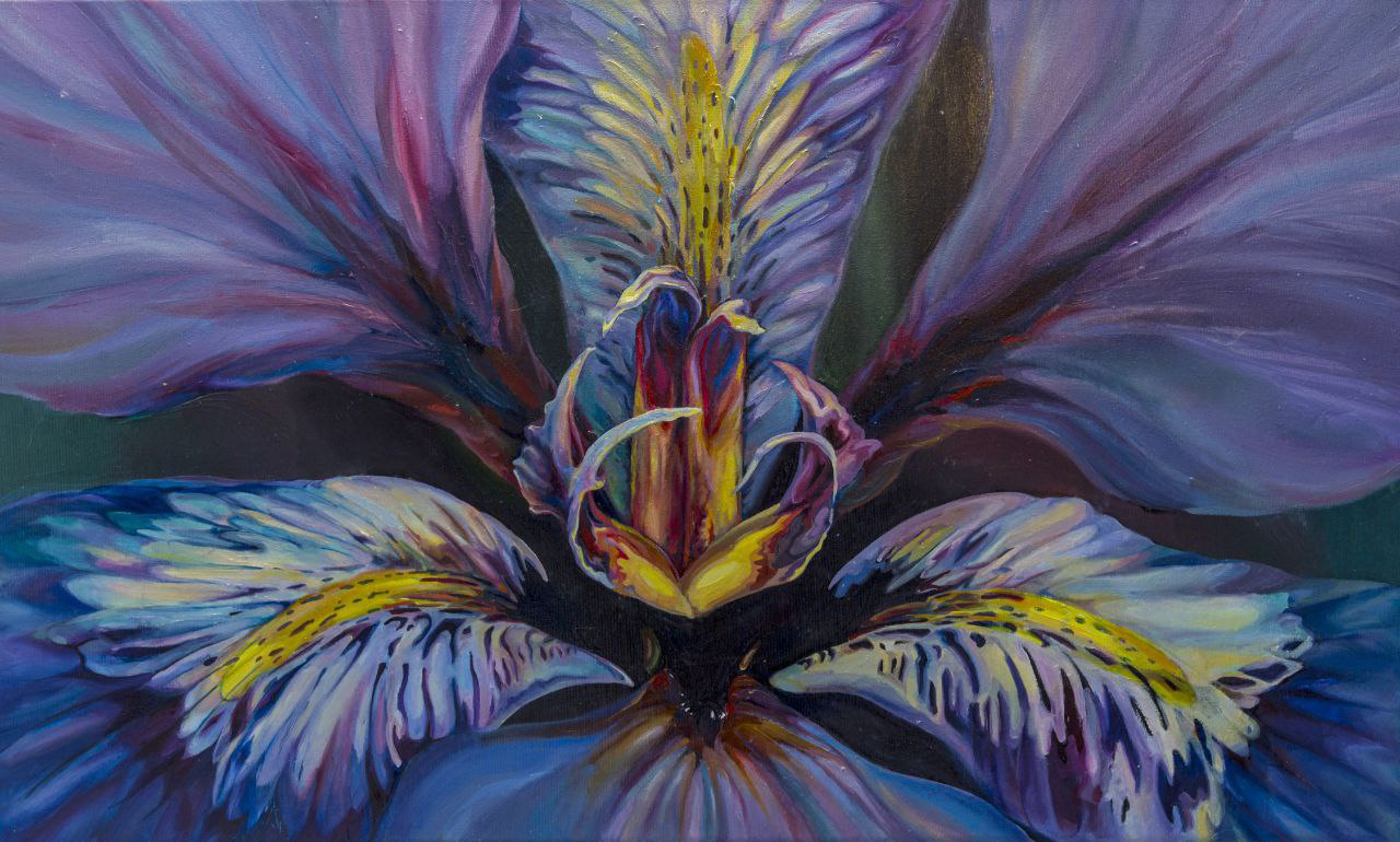 'Iris'