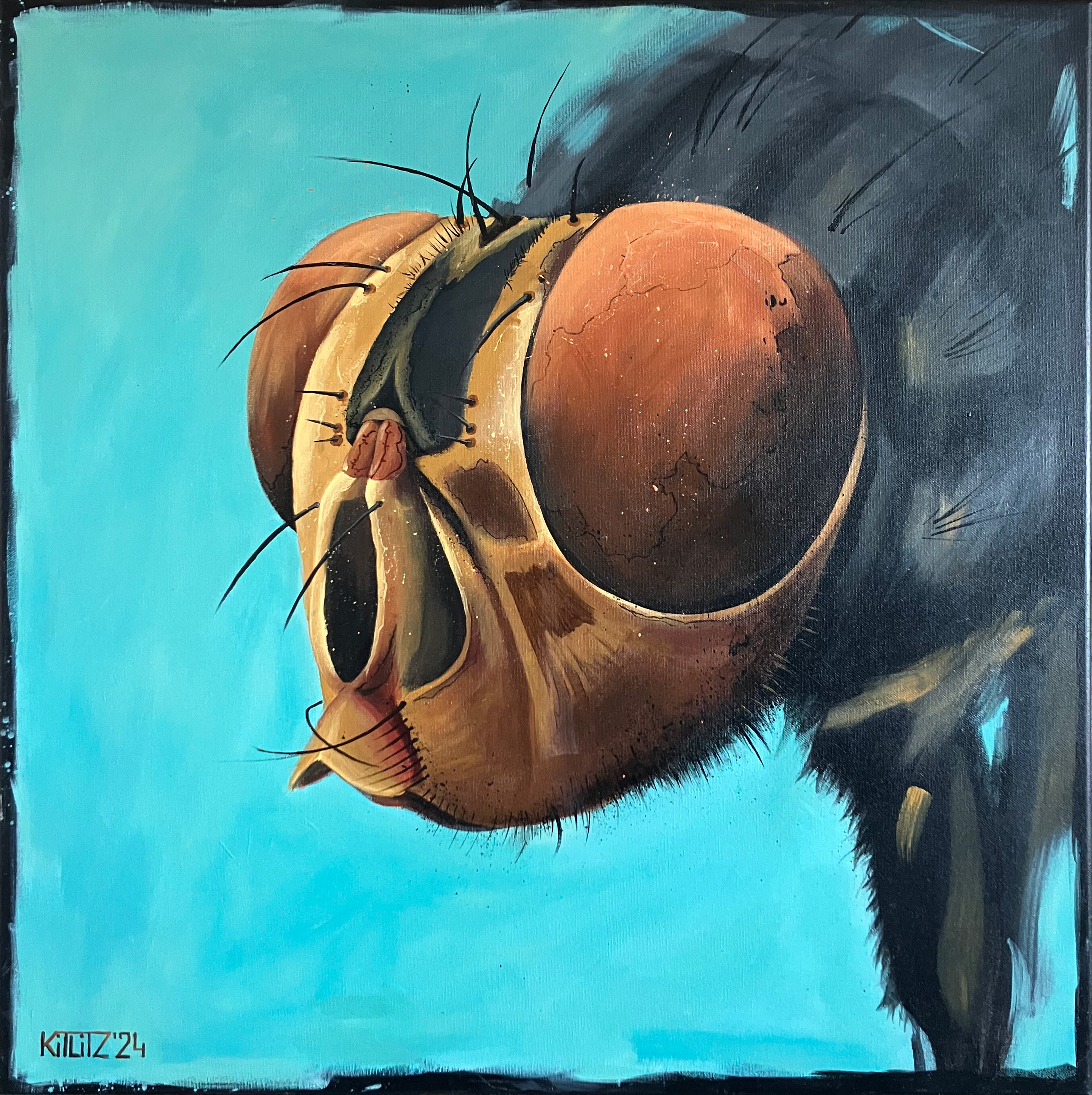 'The Nosey One'