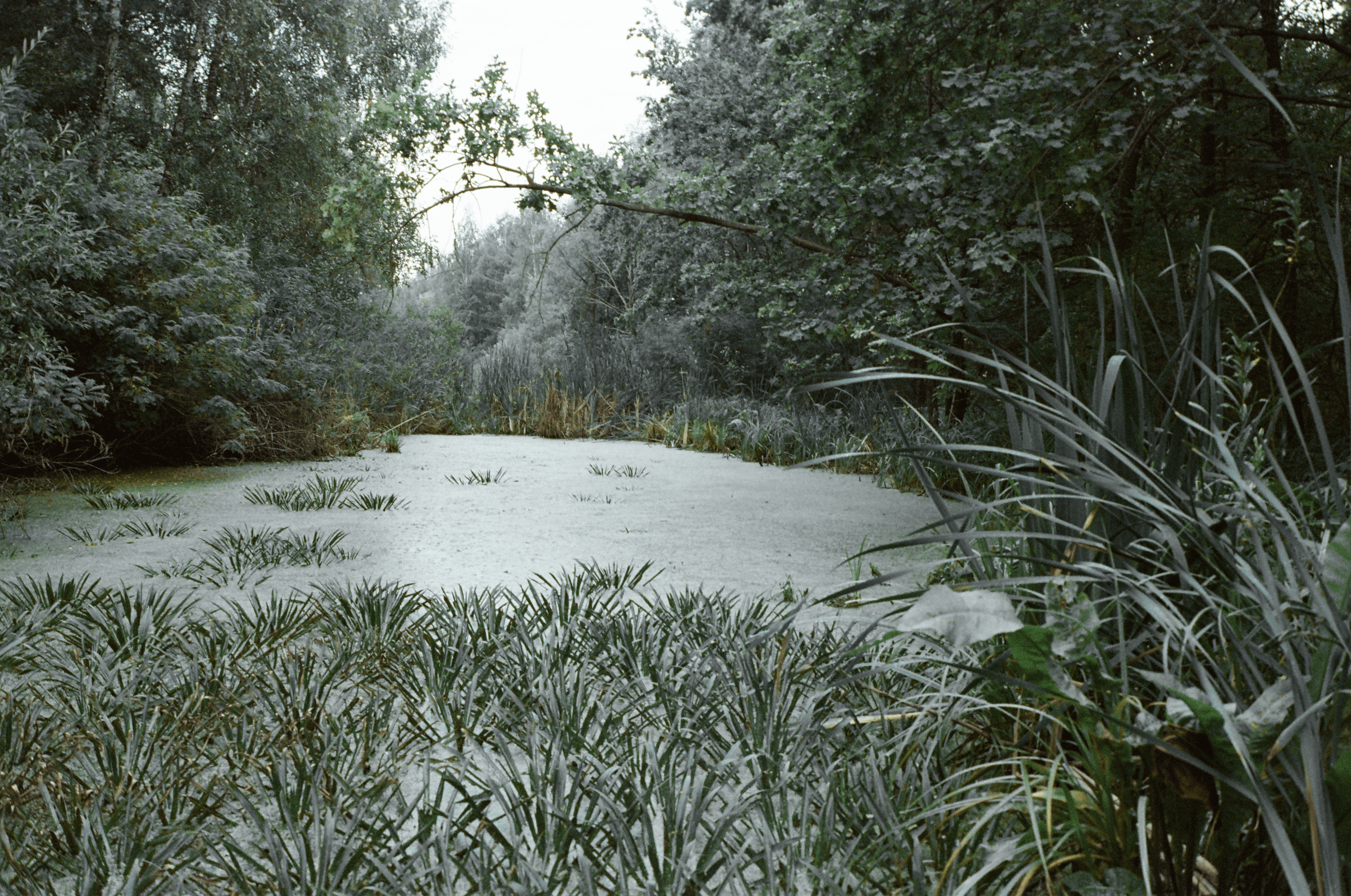 Untitled from the series 'Cinematographic Landscape'