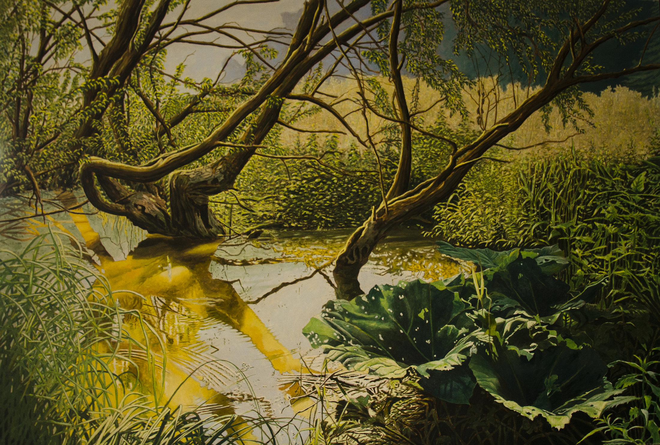 'Forest pond'