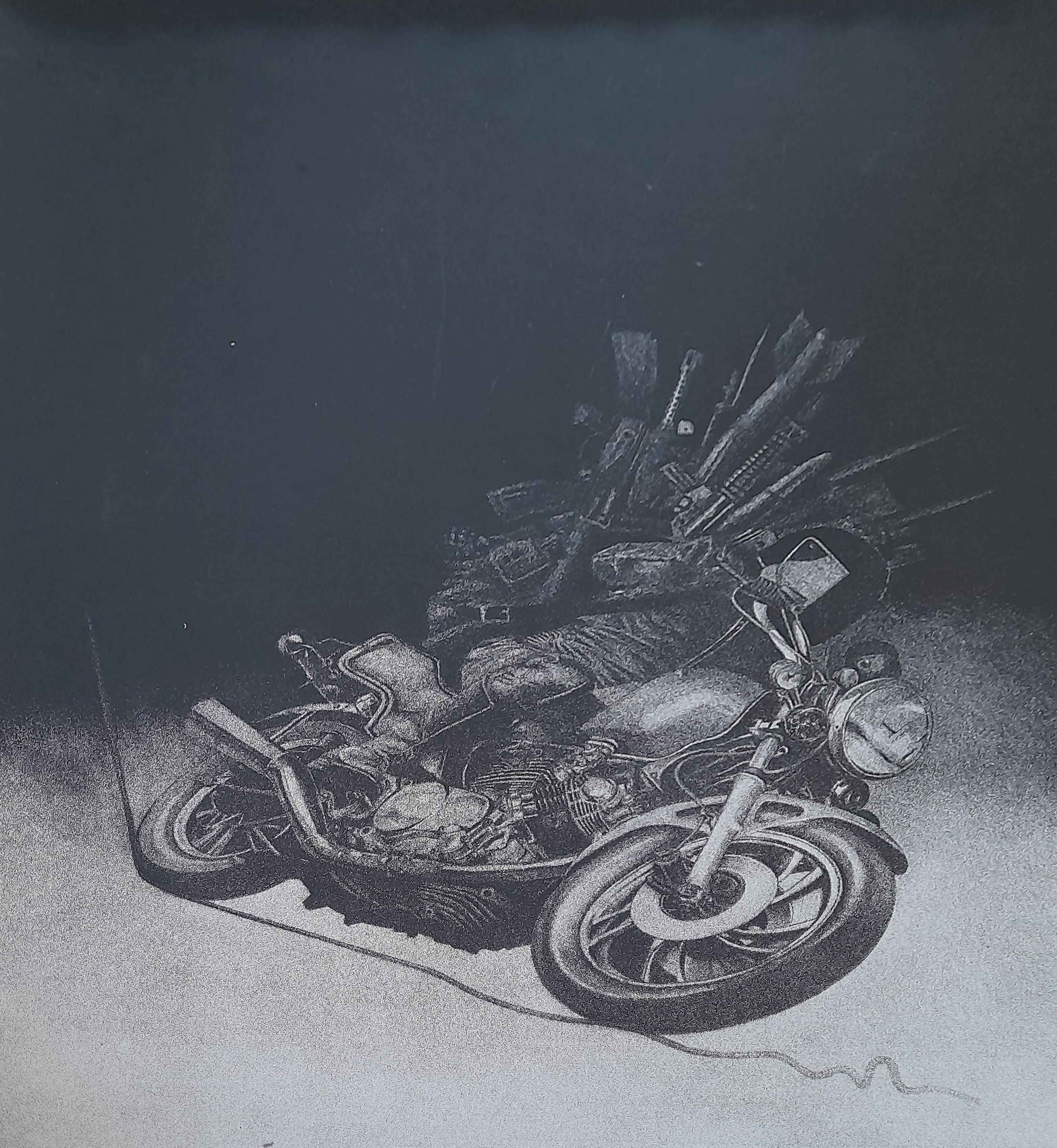 Rider