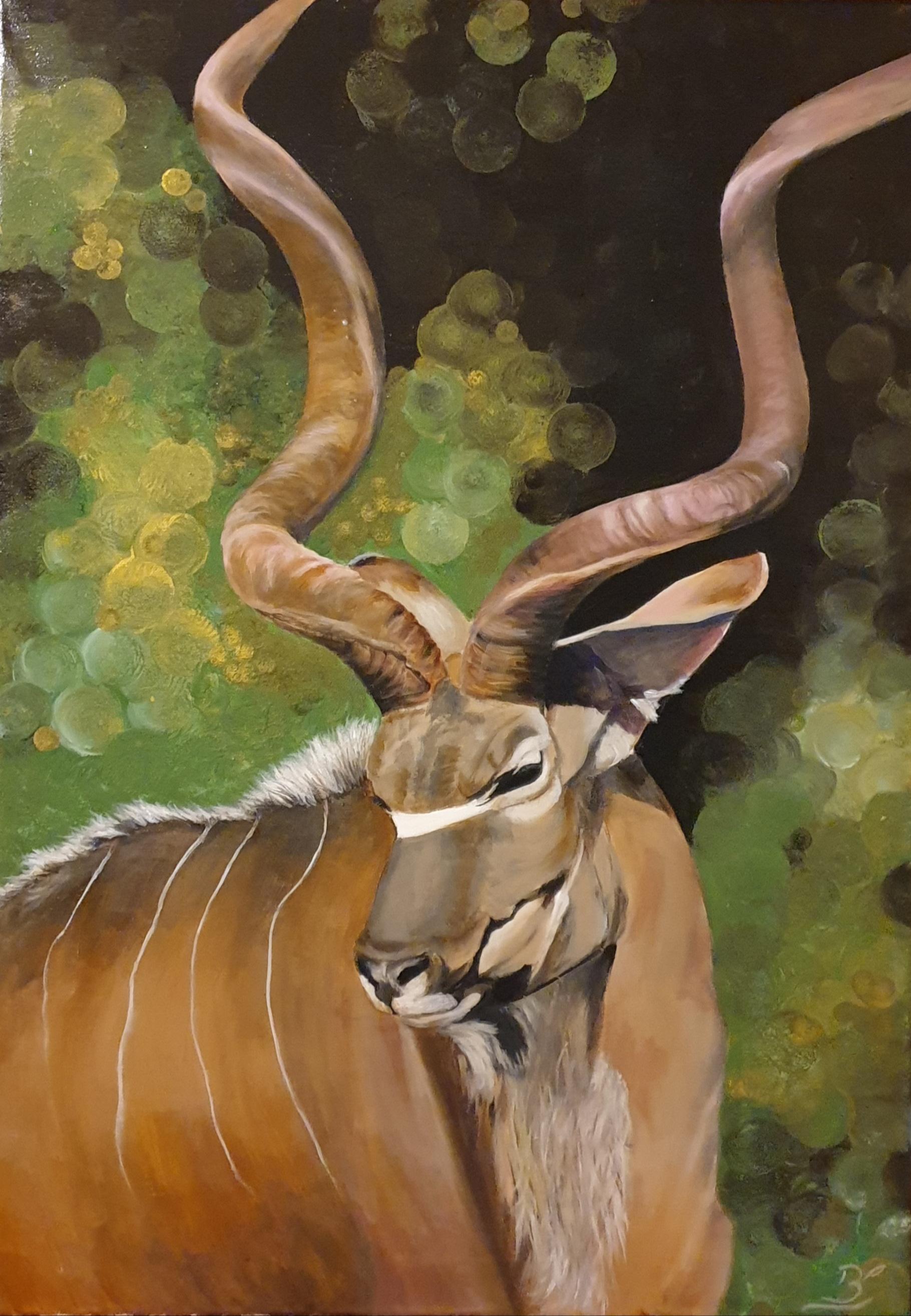 "Kudu wielkie"