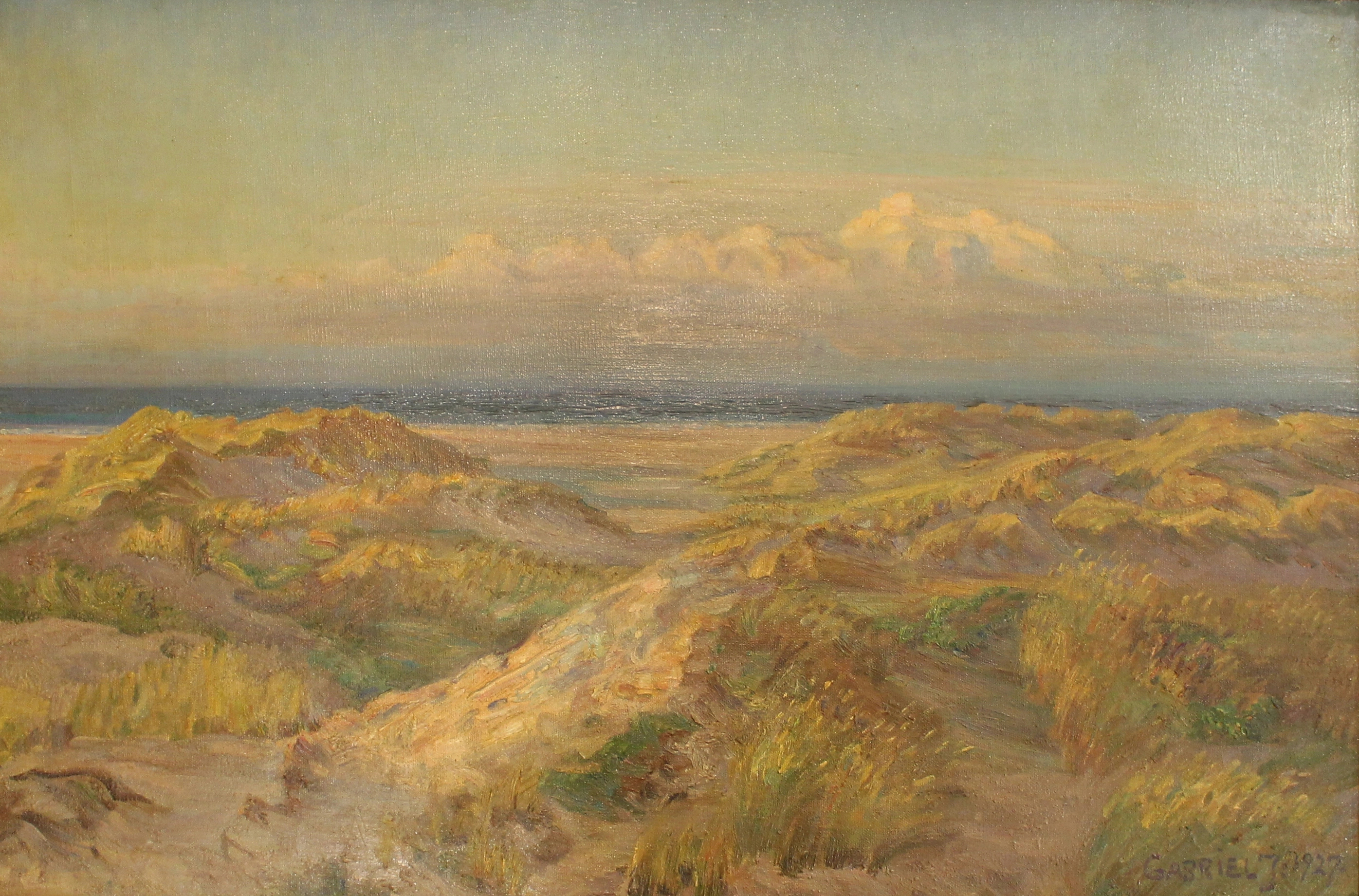 Coastal dunes in Skagen