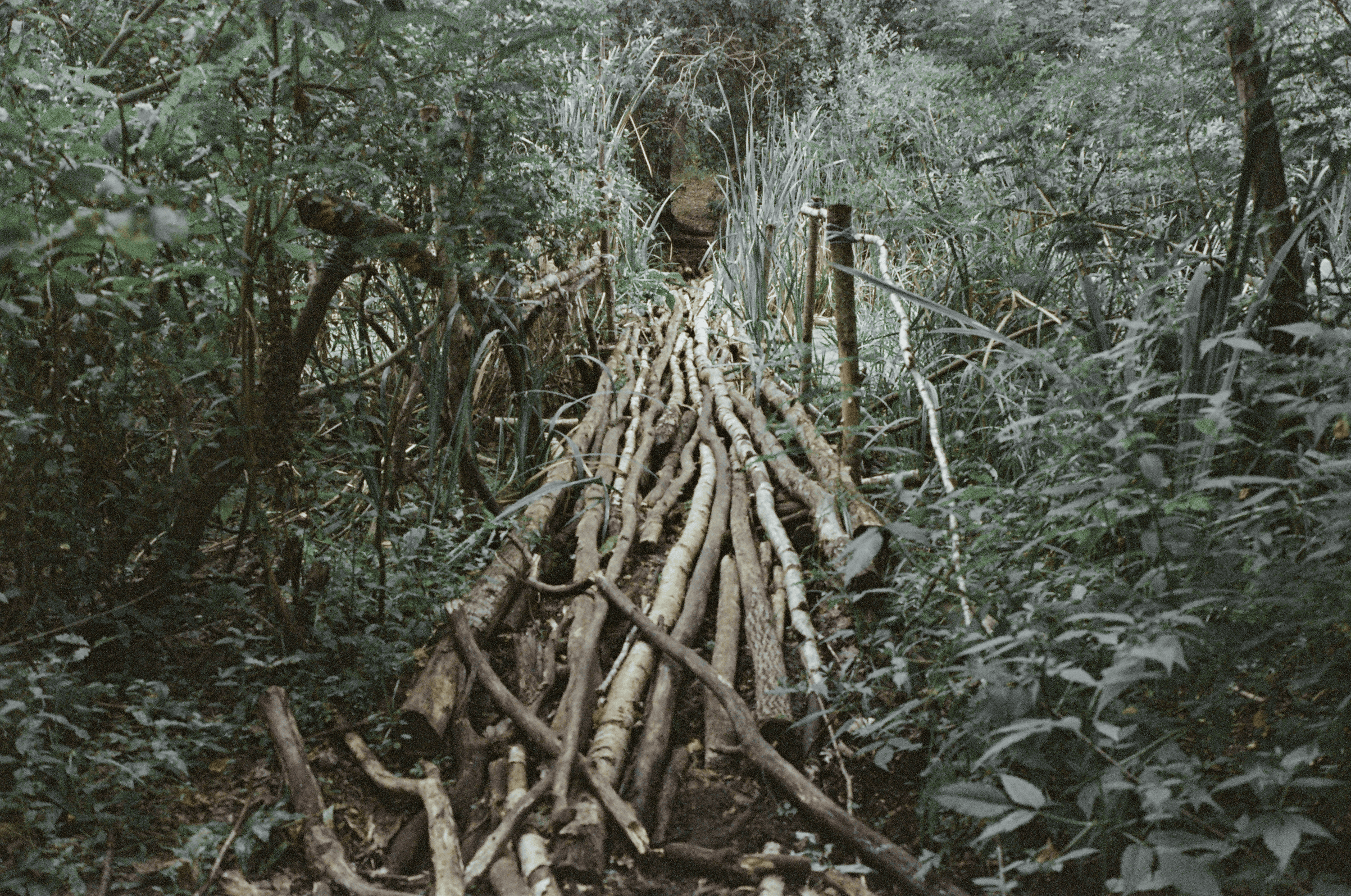 Untitled from the series 'Cinematographic Landscape'