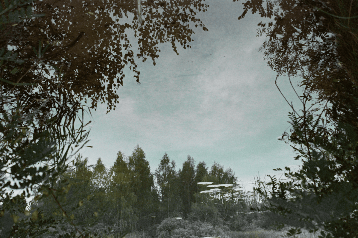 Untitled from the series 'Cinematographic Landscape'