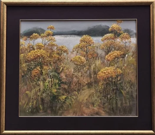 Tansy