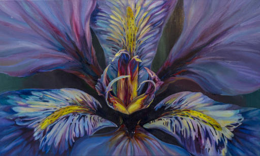 'Iris'