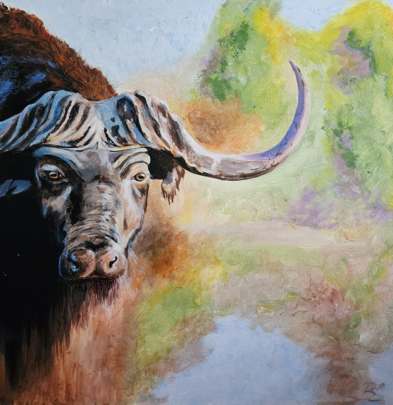 'African buffalo'