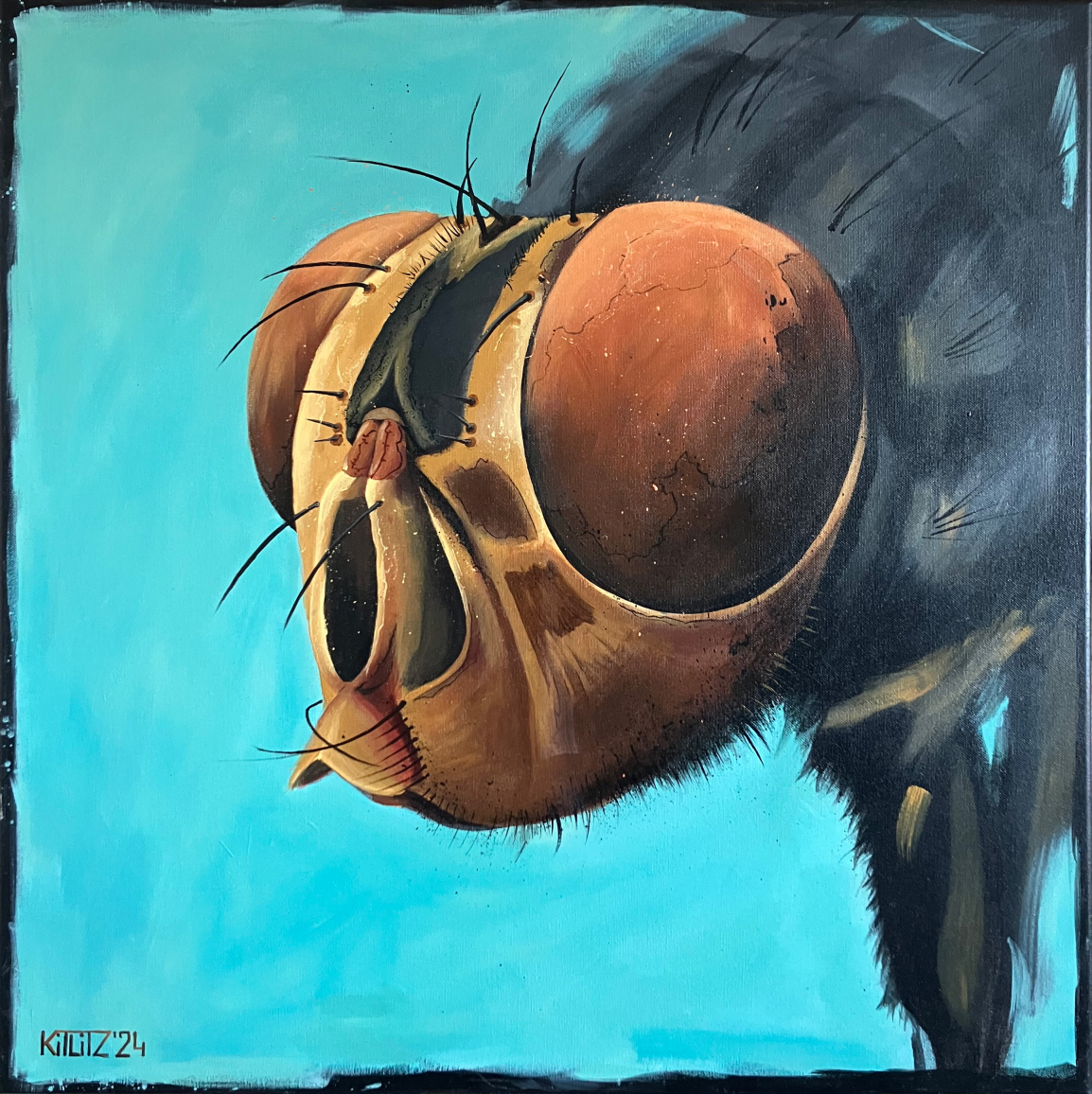 'The Nosey One'