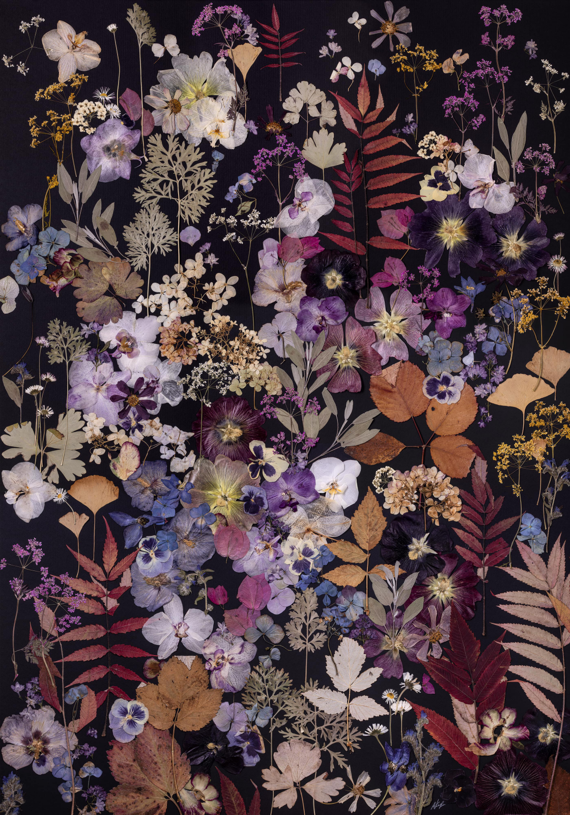 'Night Garden'