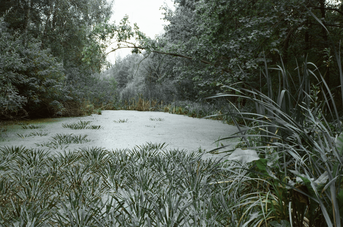 Untitled from the series 'Cinematographic Landscape'