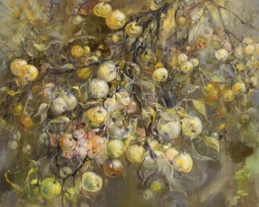Old apple tree