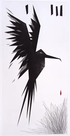 "Black bird"