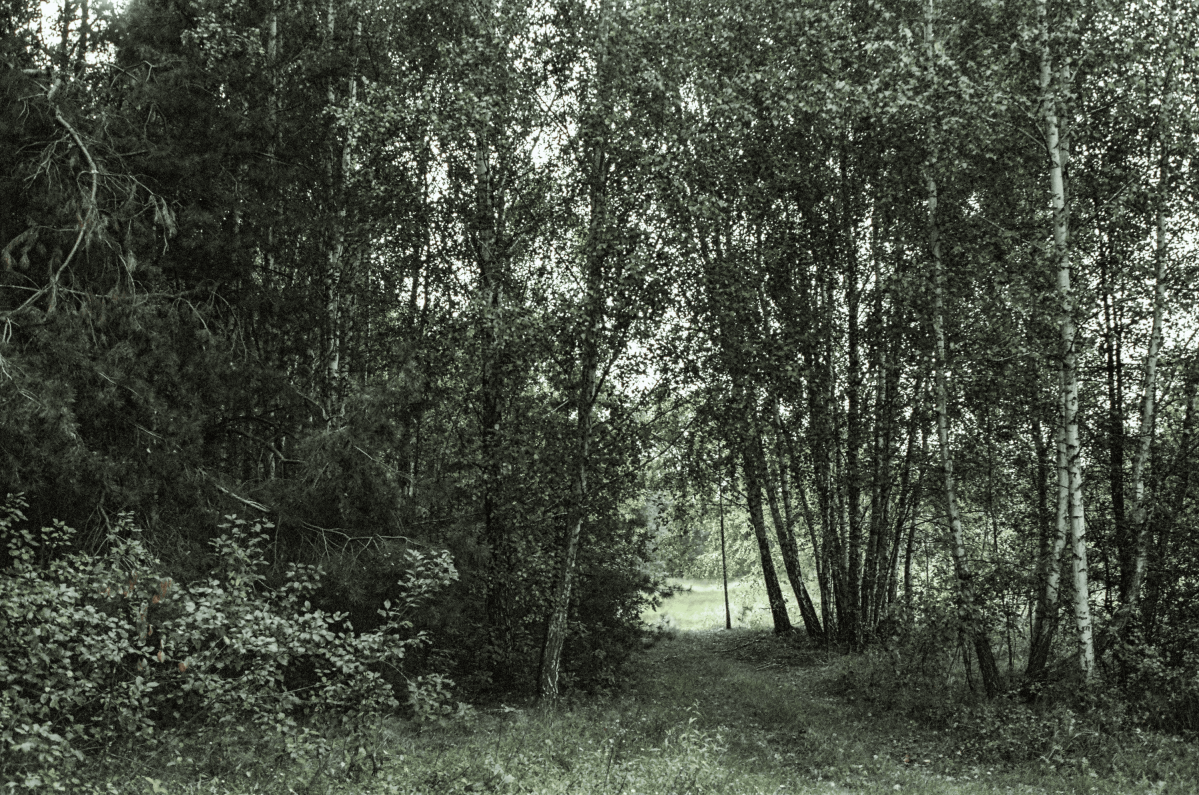 Untitled from the series 'Cinematographic Landscape'