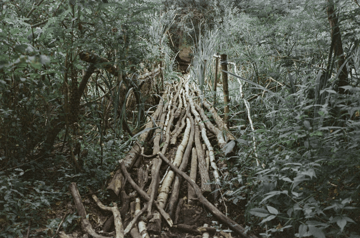 Untitled from the series 'Cinematographic Landscape'
